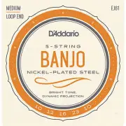 10 Sets D'Addario EJ61 5 String Banjo Strings Nickel Wound Medium Gauge USA Made