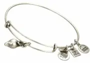 Alex and Ani Zest for Life SILVER Charm Bangle bracelet cbd14zflrs