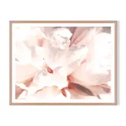 Petal Highlight Framed Printed Wall Art - Timber