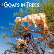 2025 Goats in Trees Wall Calendar