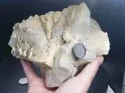 Black Tourmaline Quartz Mica & Calcite Specimen