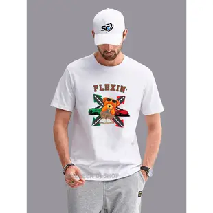 Flexin T 恤 Distro T 恤,T 數碼印花襯衫 T 恤與圖片