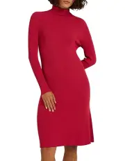 [Marcs] Begin Again Rib Knit Dress in Bad Blood