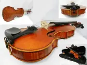 New Advanced Violin 4/4 Size Outfit /Dominant Strings & Despiau Bridge