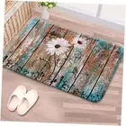 Bathroom Rug Mat, Rustic Bathroom Rug, Super Soft and Absorbent Shaggy Plush