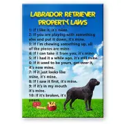 BLACK LABRADOR Property Laws MAGNET Steel Cased New DOG