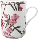 Maxwell & Williams Royal Botanic Gardens Australian Botanics Mug Boronia 300ML