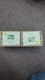 240Cells Seed Starter Tray, 20 Packs Biodegradable Peat Pots for Seedlings, Org