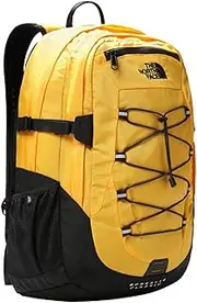 THE NORTH FACE Unisex Borealis Classic Backpack (pack of 1)