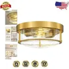 Contemporary 2-Light Ceiling Light Fixture - Gold Finish with Seeded Glass Shade