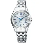 Citizen Exceed C1120-59B Silver Titanium Eco-Drive Men's Watch + Free Post
