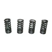 Valve Springs For Daytona Anima 150cc 190cc 4V FLX FDX FE Engine