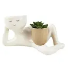 Artificial Plant Succulents Fake Plant Pots Human Shaped Succulents Plant Potted