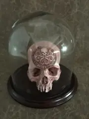 Dome Combo - Hail Hydra Real Human Skull RESIN REPLICA by Zane Wylie
