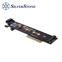 在飛比找PChome24h購物優惠-銀欣 ECM28 SATA M.2 SSD 轉PCIe x4