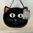 Pottery Barn Kids Glow-in-the-Dark Kitty Felt Trick Or Treat Bag Halloween NWT