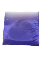 Insulated Takeaway/Delivery Pizza Bag - PURPLE - NEW