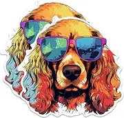 (2 Pack) Cocker Spaniel Dog Stickers - Cocker Spaniel with Sunglasses - Choose FromOver 100 Dog Breeds - 5 Inches On Longest Side - Premium Vinyl - Made in USA - BMCS0340