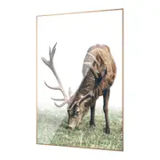 ACA Elk Color Canvas Prints Framed Wall Art Lifestyle Canvas Print Home Decor