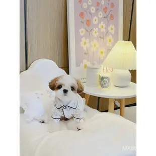 【現貨免運】狗衣服薄款網紅小熊維尼圖案家居睡衣襯衫寵物泰迪博美小狗狗服飾