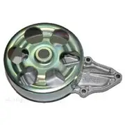 GMB Water Pump - 6060