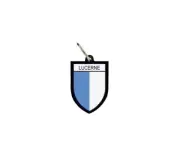 keychain key chain ring flag national souvenir shield switzerland lucerne