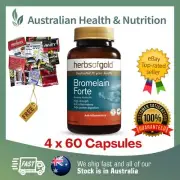 4 x HERBS OF GOLD BROMELAIN FORTE 60 CAPSULES +FREE SAME DAY POST & SAMPLE