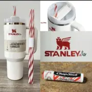 NEW Stanley 40 oz Mistletoe Twist Quencher Tumbler LTD Edition FREE Chapstick