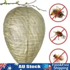 - Wasp Nest Decoy Safe Fake Wasp Repellent Nest for Wasps Hornets Yellow Jackets