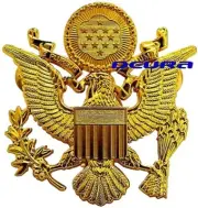 US ARMY Officer Hat Cap Brass EAGLE BADGE Crusher Visor Insignia Replacement Pin