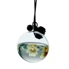 Clear Car Empty Bottle Hanging Diffuser Air Pendant Ornament