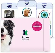 Koko Genetics DNA Test for Dogs Advanced - (+175 Breeds, Health + Traits Reports) - Updates at no Cost