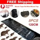 5-20x Mouse Traps Rat Mice Mouse Trap Board Snare Catcher Board Pad Board