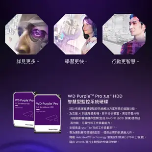 WD 威騰 紫標 3.5吋 硬碟 監控碟 HDD 1TB 2TB 4TB 6TB PURPLE 3年保固 光華商場