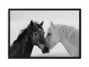 Horses CommuniCate Framed Print Fine Art Poster Print