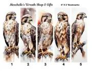 Falcon Big Bird Themed Bookmarks 6