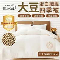 在飛比找momo購物網優惠-【Blue Cat 藍貓】大豆四季被 大豆纖維四季被 母嬰級