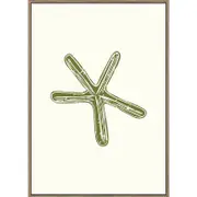 Rayell Framed Kids Artwork Starfish Natural Cream 50x70cm