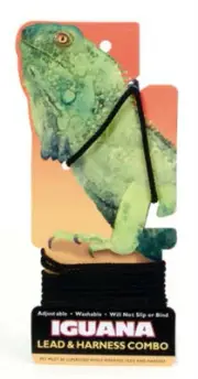 Coastal Pet IGUANA Lead & Harness Combo Adjustable Reptile Leash NO Slip & Bind
