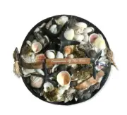 4lbs Of Sea Shells For Crafts