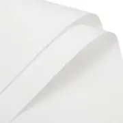 Pearlescent Film Flower Wrapping Paper 22.8x22.8 Inch White Pack of 20