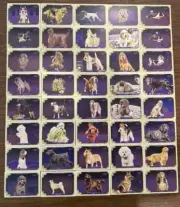 2024 Topps Allen & Ginter Best in Show The Westminster Kennel Club 40-Card Set