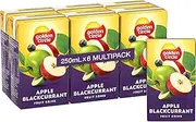 Golden Circle Apple and Blackcurrant Fruit Drink Lunch Box Poppers Multipack Flavoured Lunchbox Drink No Artificial Colours, Flavours or Preservatives 250ml (Pack of 6)