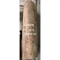 在飛比找蝦皮購物優惠-台灣 肖楠 原生一級木片 樹齡30年以上/杯墊/木底座/木料