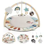 Blissful Diary Baby Play Gym and Mat, 5 Developmental Zones Baby Activity Mat