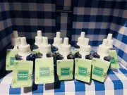 10x New Bath Body Works Wallflowers Mahogany Balsam Diffuser Refill Bulbs