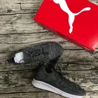 在飛比找蝦皮購物優惠-Puma ignite evoknit lo 189904-