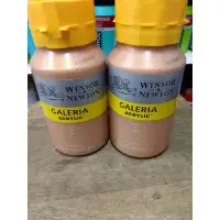 在飛比找蝦皮購物優惠-儒林代購_英國溫莎牛頓Winsor Newton/Galer