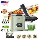 Large Capacity Masticating Juicer with 2 Modes - Ideal for Fruits & Vegetables