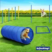 Pawise Dog Agility Equipment Set Pet Obstacle Training Course Pole Tunnel 28 PCS